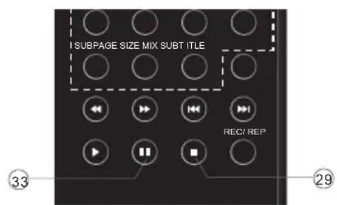 SUBPAGE SIZE MIX SUBTITLE RECI REP 33 29