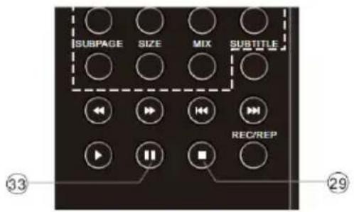 SUBPAGE SIZE MIX SUBTITLE REC/REP 33 29