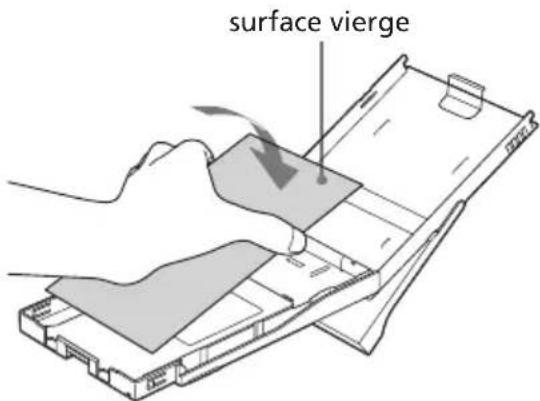 surface vierge