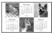 SONY DPP-FP50 - Réalisation d'un calendrier - 1
