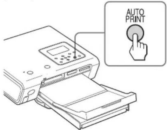 AUTO PRINT