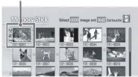 Memory Stick Select 0000 Image ext 0042 Car touche 101-0001 101-0003 101-0005 101-0004 101-0006 101-0007 101-0008 101-0009 101-0010