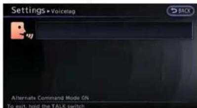 Settings•Voicetag Alternate Command Mode ON To exit, hold the TALK switch