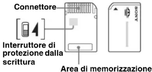 Connettore Interruttore di protezione dalla scrittura Area di memorizzazione