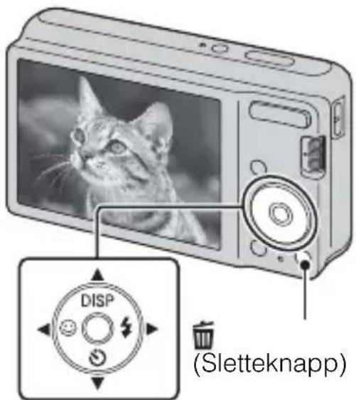 DISP (Sletteknapp)