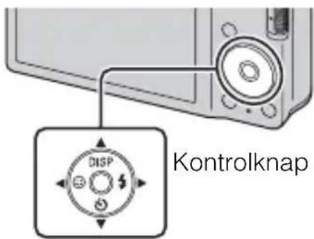 Kontrolknap