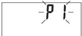 -P I-