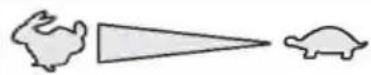 AL-KO Silver 46 BR Comfort - mit Gasfernbedienung, ohne Primer/Choke - 1