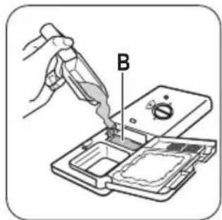 B