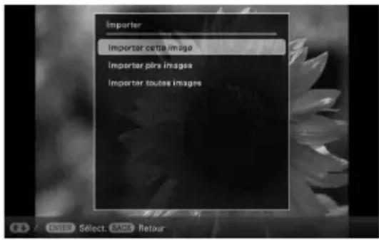 Importer Importer cette image Importer plusieurs images Importer toutes les images