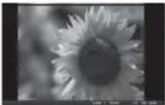 SONY DPF-D810 - Affichage du Diaporama - 5