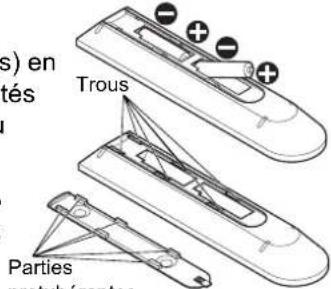 (s) en tés Trous Parties nputubérentes