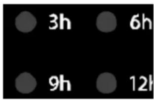 3h 6h 9h 12h