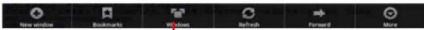 EASYPIX EasyPad Junior - Navigation Internet - 2