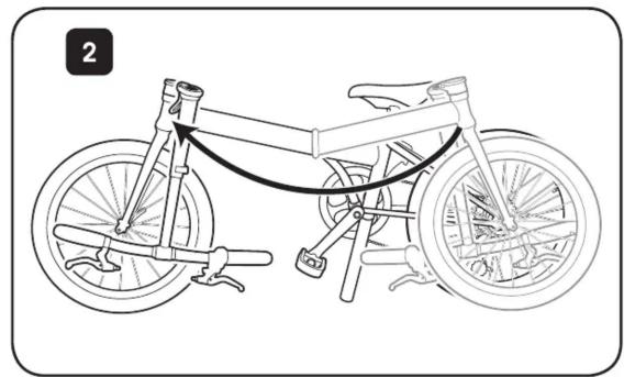 DAHON Mu P7 - 19
