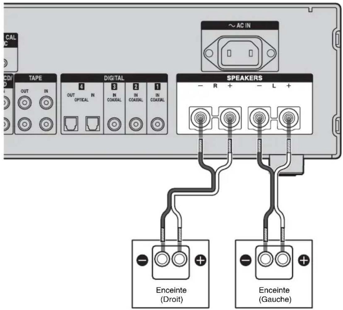 CAL CD/ TAPE OUT IN DIGITAL OUT OPTICAL IN COAXIAL IN COAXIAL IN COAXIAL ~ AC IN SPEAKERS - R + - L + Enceinte (Droit) Enceinte (Gauche)