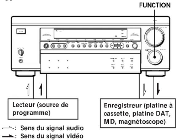 FUNCTION Lecteur (source de programme) Enregistreur (platine à cassette, platine DAT, MD, magnétoscope) : Sens du signal audio : Sens du signal vidéo