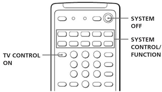 TV CONTROL ON SYSTEM OFF SYSTEM CONTROL/ FUNCTION