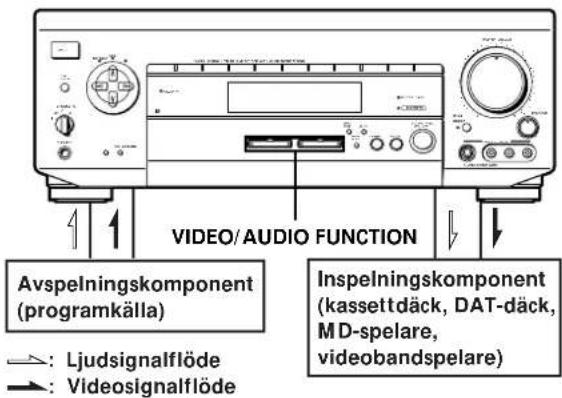 VIDEO/AUDIO FUNCTION Avspelningskomponent (programkälla) : Ljudsignalflöde : Videosignalflöde Inspelningskomponent (kassettdäck, DAT-däck, MD-spelare, videobandspelare)