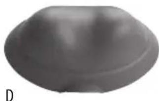 Gray 3D-rendered object with smooth curved surface and label 'D' (no text or symbols on object)