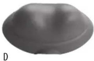 Gray 3D-rendered dome-shaped object with smooth surface and curved edges, labeled 'D' in bottom left corner (no other text or symbols)