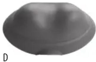 Gray dome-shaped object with a small protrusion, labeled 'D' in the corner (no other text or symbols)