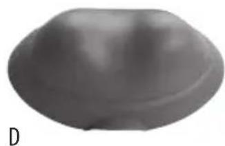 Smooth, dome-shaped gray object with a small protrusion and label 'D' on the left (no other text or symbols)