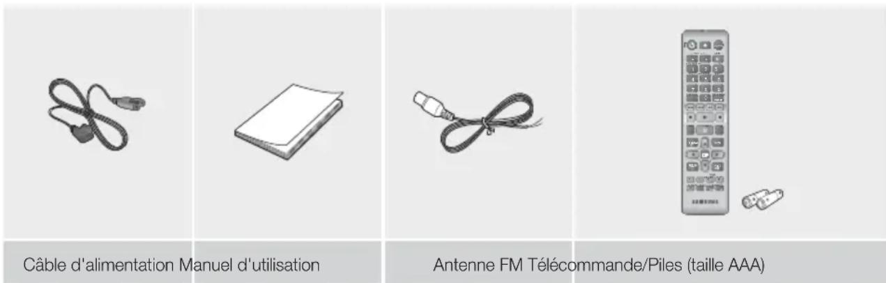 Câble d'alimentation Manuel d'utilisation Antenne FM Télécommande/Piles (taille AAA)