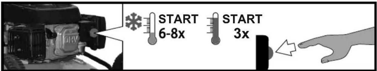 START 6-8x START 3x