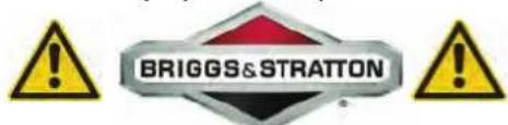 BRIGGS&STRATTON