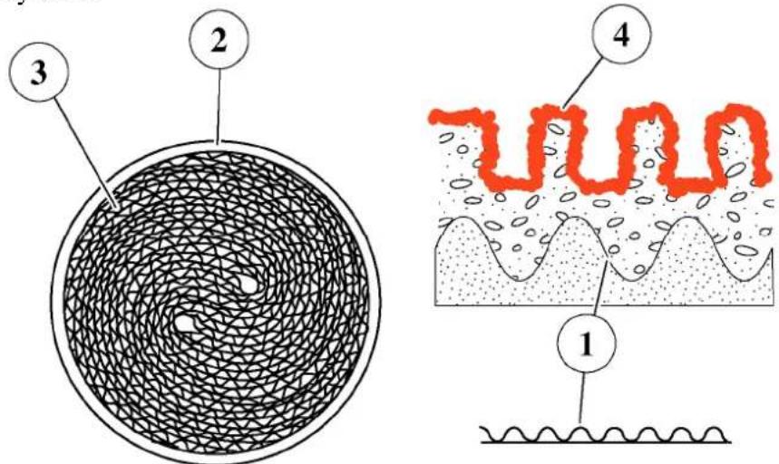 Diagram illustrating a layered structure with labeled components: a meshed circular component, a wavy layer with red ribbons, and a wavy bottom layer.