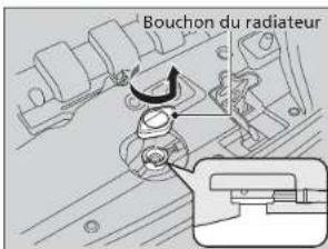 Bouchon du radiateur