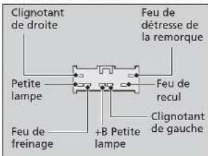 Clignotant de droite Feu de détresse de la remorque Petite lampe Feu de recul Clignotant de gauche +B Petite lampe Feu de freinage