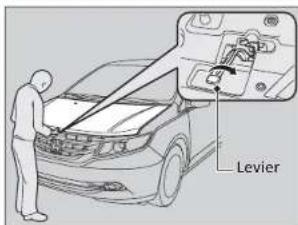 Levier