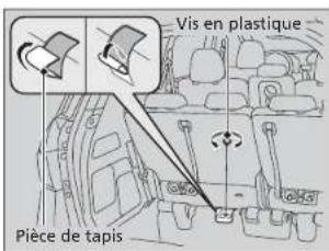 Vis en plastique Pièce de tapis