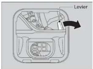 Levier