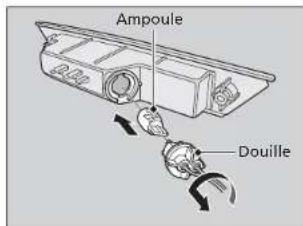 Ampoule Douille