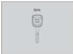 Gris