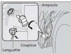 Ampoule Languette Coupleur
