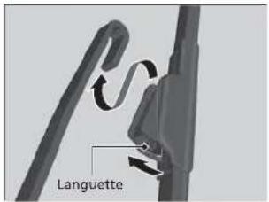 Languette