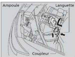 Ampoule Languette Coupleur