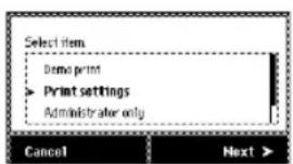 Select item Demo print ► Print settings Administrator only Cancel Next >