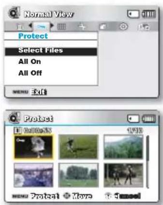 Normal View Protect Select Files All On All Off MENU Exit Protect 1918 MENU Protect Move Smool