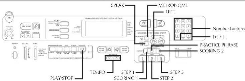 SPEAK METRONOME LEFT Number buttons [+] / [-] PRACTICE PIRASE SCORING 2 STEP 1 STEPS STEP 3 SCORING 1 STEP 2 PLAY/STOP TEMPO