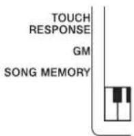 CASIO CTK-593 - Using Touch Response - 4