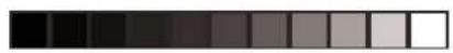 CASIO CTK-593 - CONCERT PIECES - 4