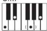 CASIO CTK-593 - NOTE - 7
