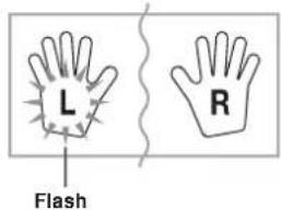 L Flash R