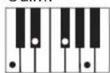 CASIO CTK-593 - NOTE - 15