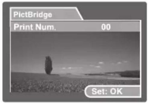PictBridge Print Num. 00 Set: OK